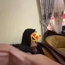 @fahhcann149