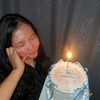 vit_galery