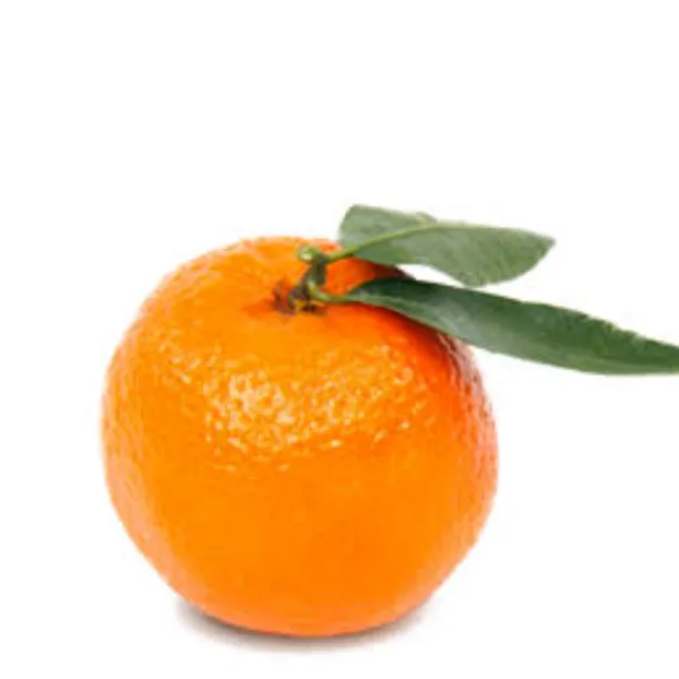 joanjcy