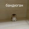 atiki_razei