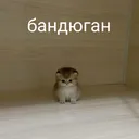 @atiki_razei