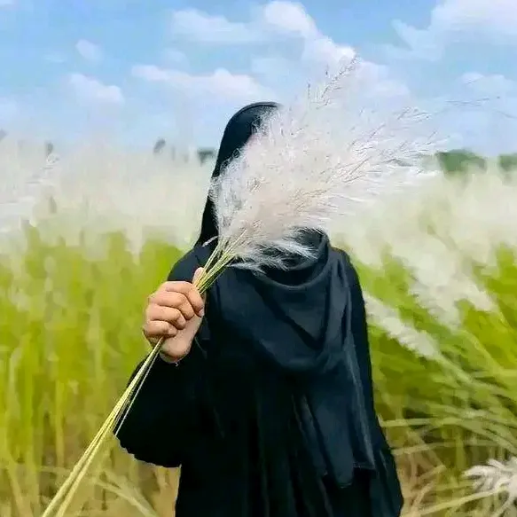 @nushaiba521