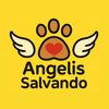 angelissalvando