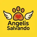 @angelissalvando