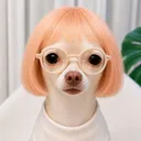 @peanuts.bworld036