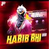 habib_here7