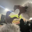 @__10238