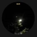 @tkzxid
