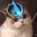 @.kgusion