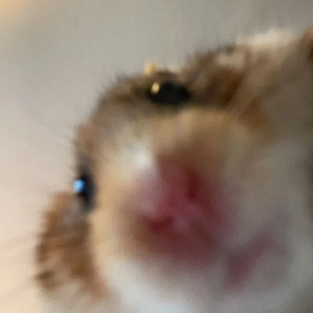 @hbdhbdll1