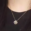 @jccsqzyd8831