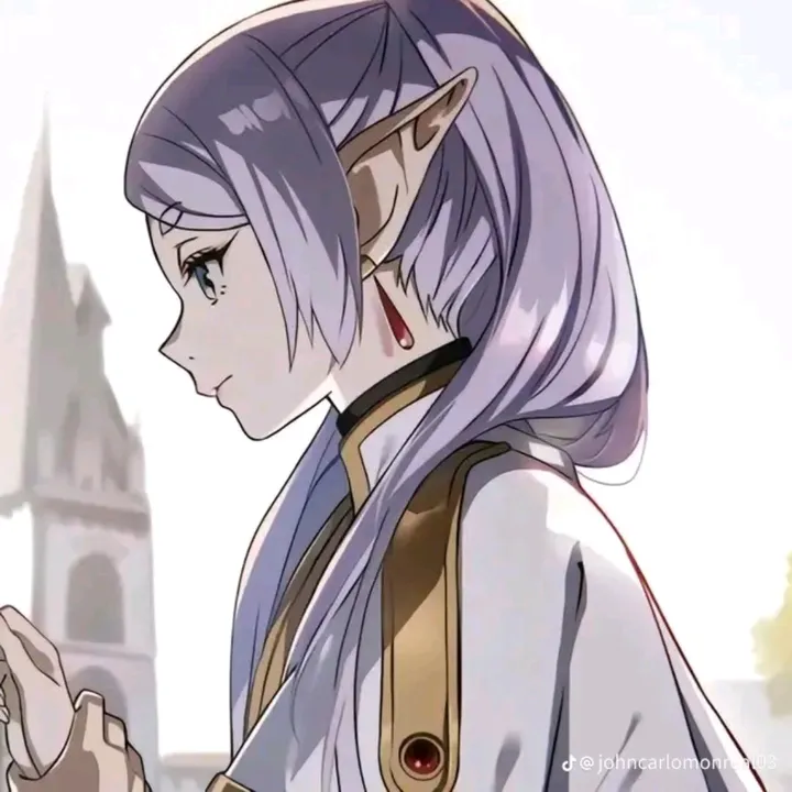 roameraishie