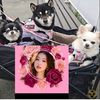 mimiofficial12111