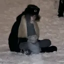 @nemayonezz