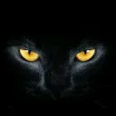 @andy_66r.m
