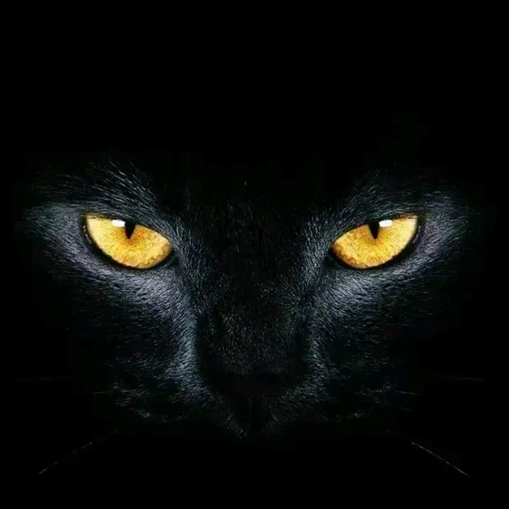 andy_66r.m