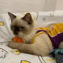 @anjjjimenez