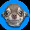 brendon_1234