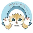 @rara_0v0_