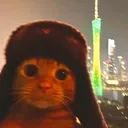 @cats_vedios