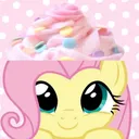 @cute.pawz