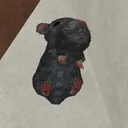@kanyewestteren0