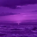 @shuduza1