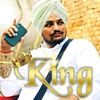 onlysidhu29