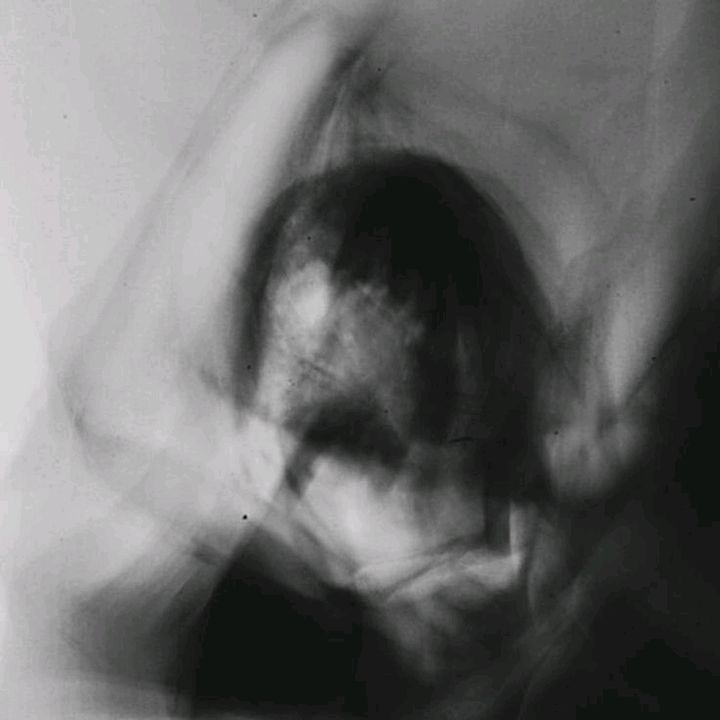 .♡ - original sound