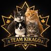 kikago_4