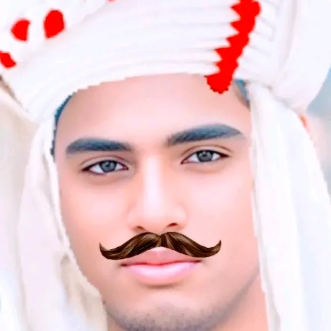 hidar.ali719
