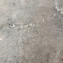 @shuvekshya