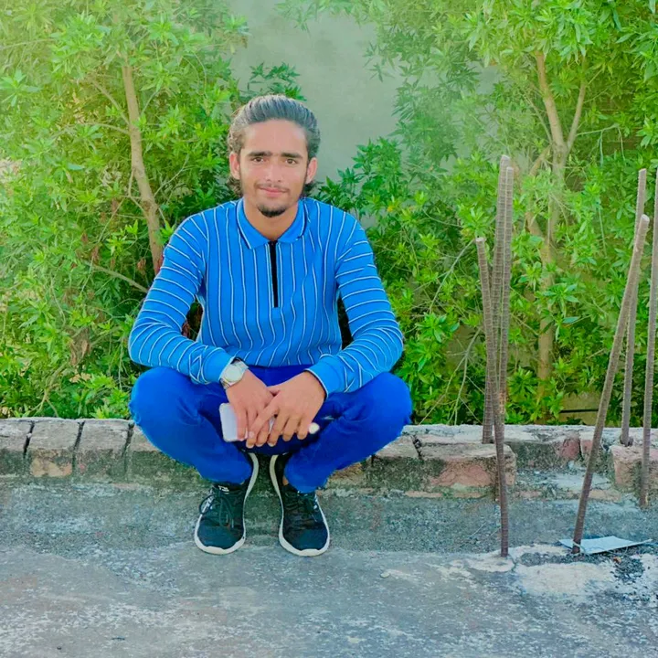 sasif224