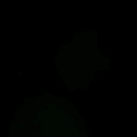 zbzb231