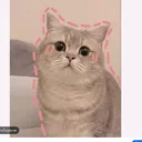 @fonde036