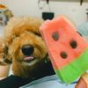 leeminhan851