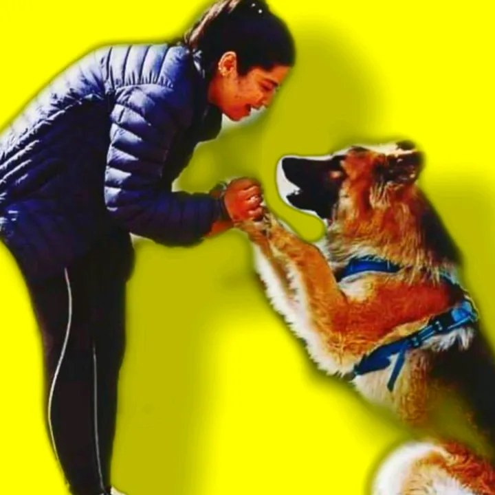 dogtrainer_abhilasha3