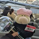 @svtcaratduck