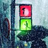elgiz___93