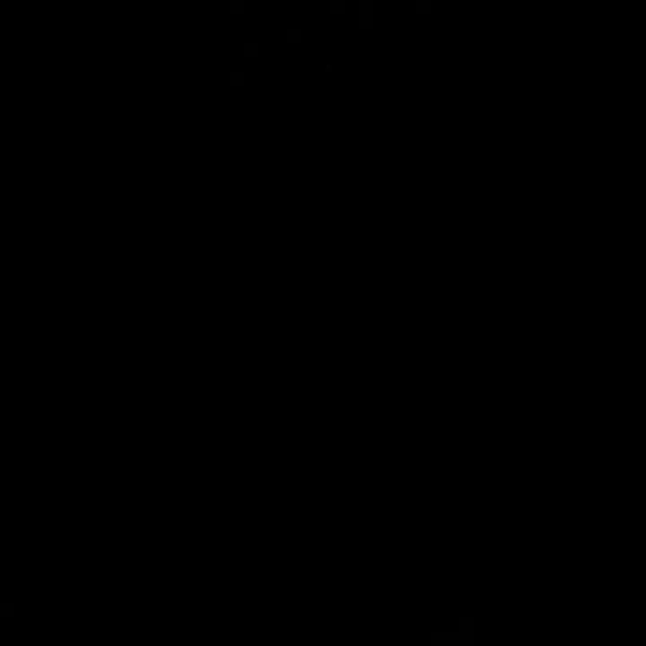 _ch4r11