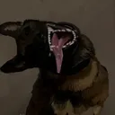 @malswhodoigp