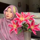 @bebi.hawl