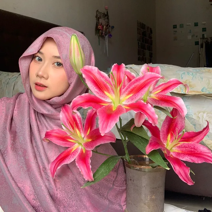 bebi.hawl