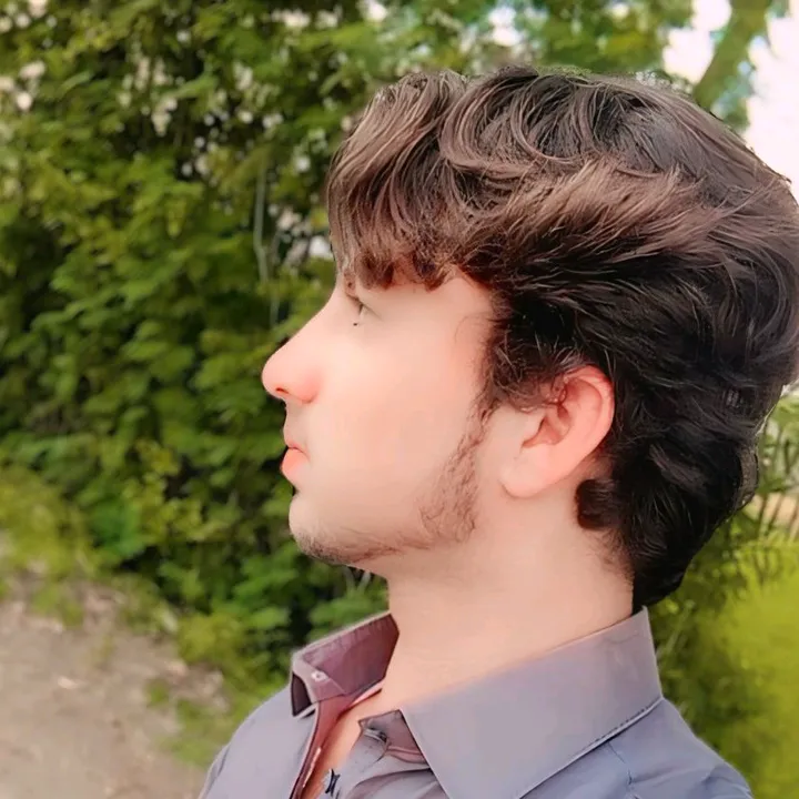 syed.intazar.mehdi