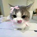 @sf79630