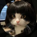 @pp__8106