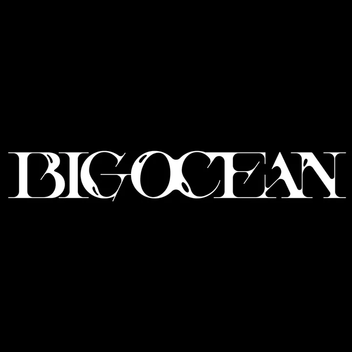big_ocean.official