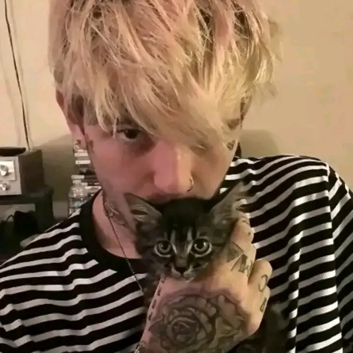 lil.peep.fly.high