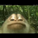 @nevaaannnn