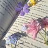 romanceliteraturelover
